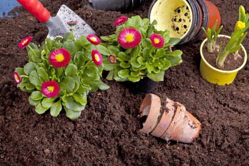 Landscape gardening in Newcross with stylish patio and planting