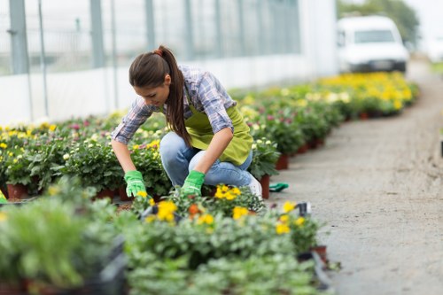 Landscapers carrying out safe site preparation for outdoor maintenance