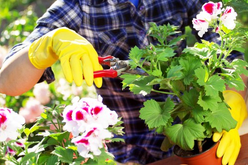 Garden maintenance in Newcross with tidy lawn and shrubs