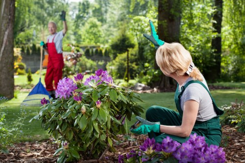 Newcross garden landscaping with patio and planting design
