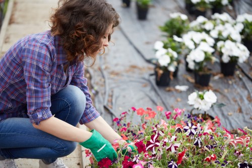 Healthy lawn care in Newcross with neat green grass