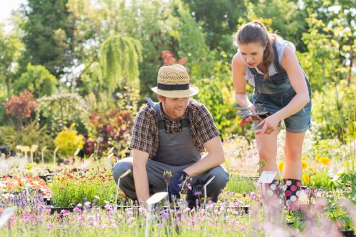 Landscaping in Newcross garden design overview