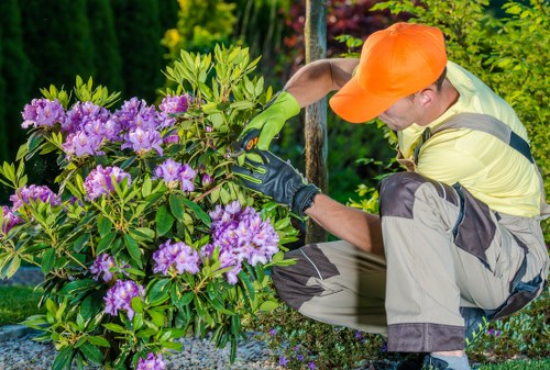 Modern slavery statement for Landscapers Newcross introduction
