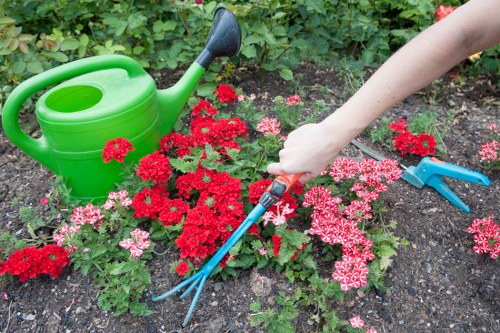 Layered flower bed layout in a Newcross garden