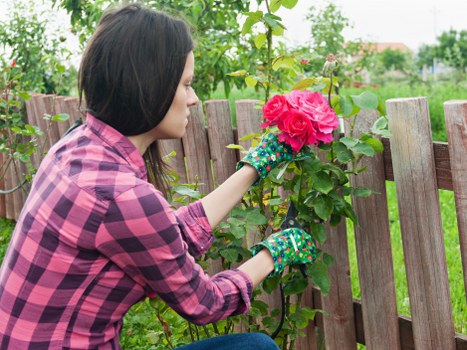 Sustainable garden landscaping in Newcross