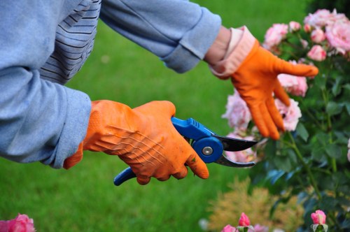 Mowing and feeding grass for lawn care in Newcross