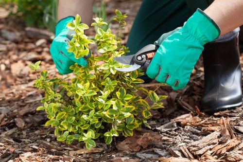 Hard landscaping materials for a Newcross garden