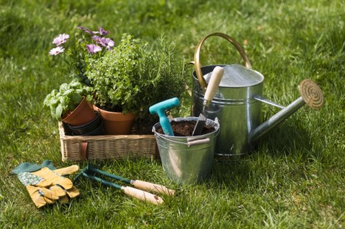 Local hedge cutting service for Newcross homes