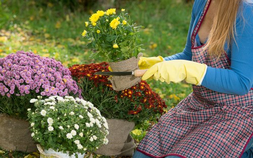 Keyboard navigation support for accessible landscapers in Newcross