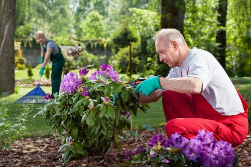 Local garden clearance service handling overgrown waste in Newcross