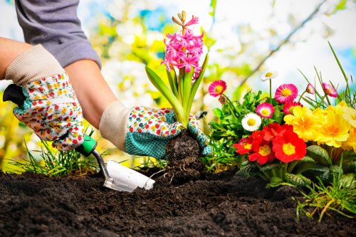 Wildlife-friendly planting scheme in a Newcross property