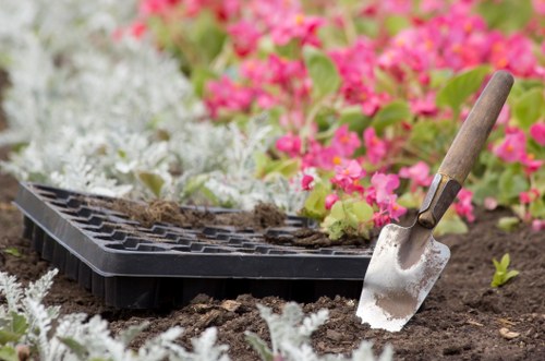 Planting and hard landscaping in a Newcross outdoor space