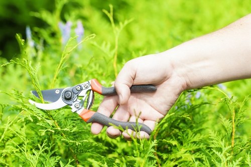 Free quote policy for Landscapers Newcross rubbish and garden removals