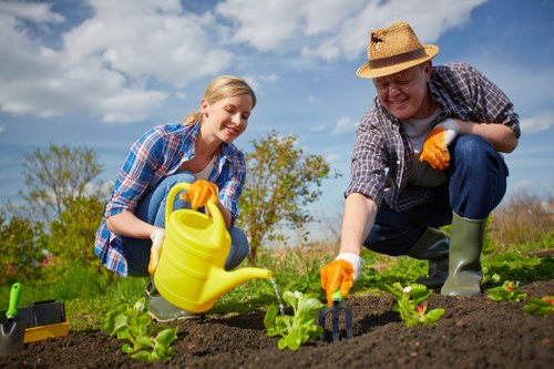 Newcross garden landscaping focused on seasonal beauty and usability