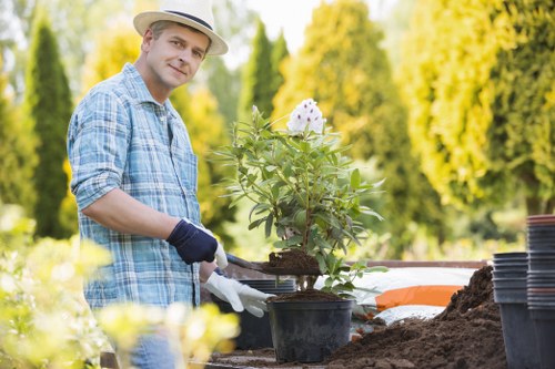 Professional Newcross landscapers designing a balanced outdoor space
