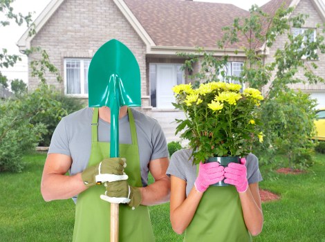Hedge trimming and border care for a Newcross garden