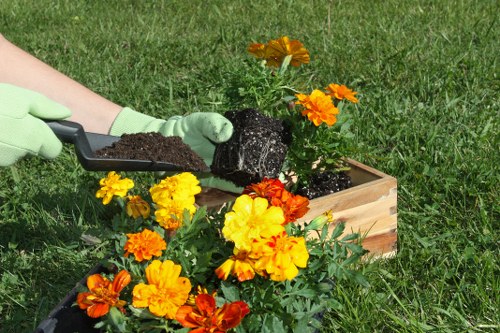 Compact planting solutions for small Newcross gardens