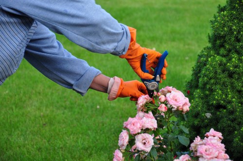 Removing hedge cuttings and green waste from a residential garden