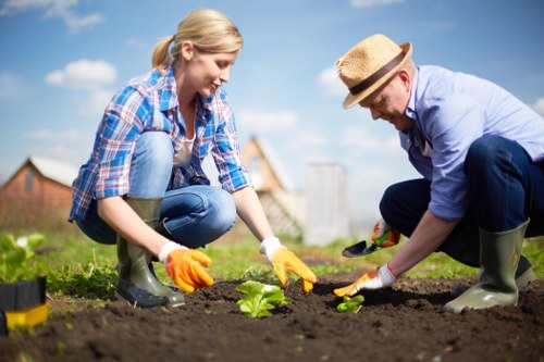 Garden waste and reusable materials being prepared for recycling
