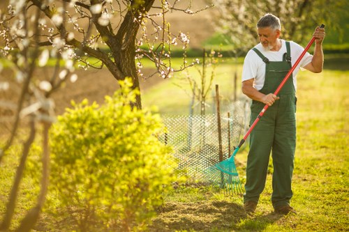 Seasonal plants used for flower bed creation in Newcross